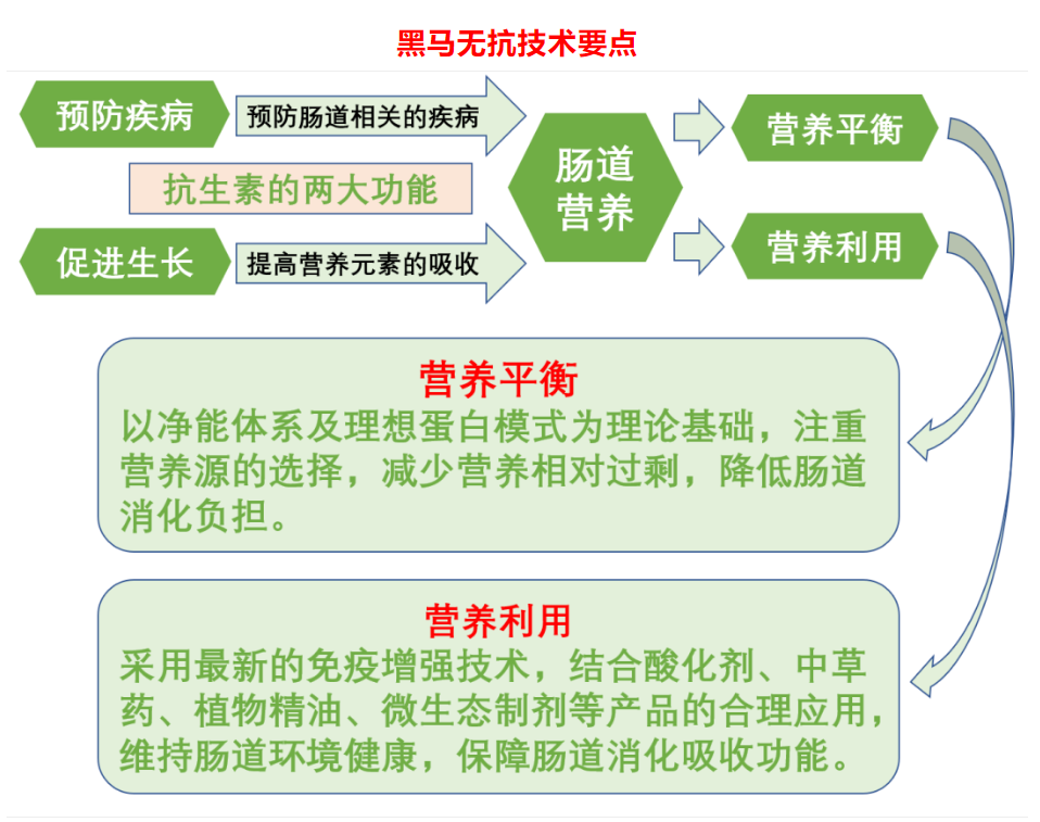無(wú)抗新技術(shù)，..